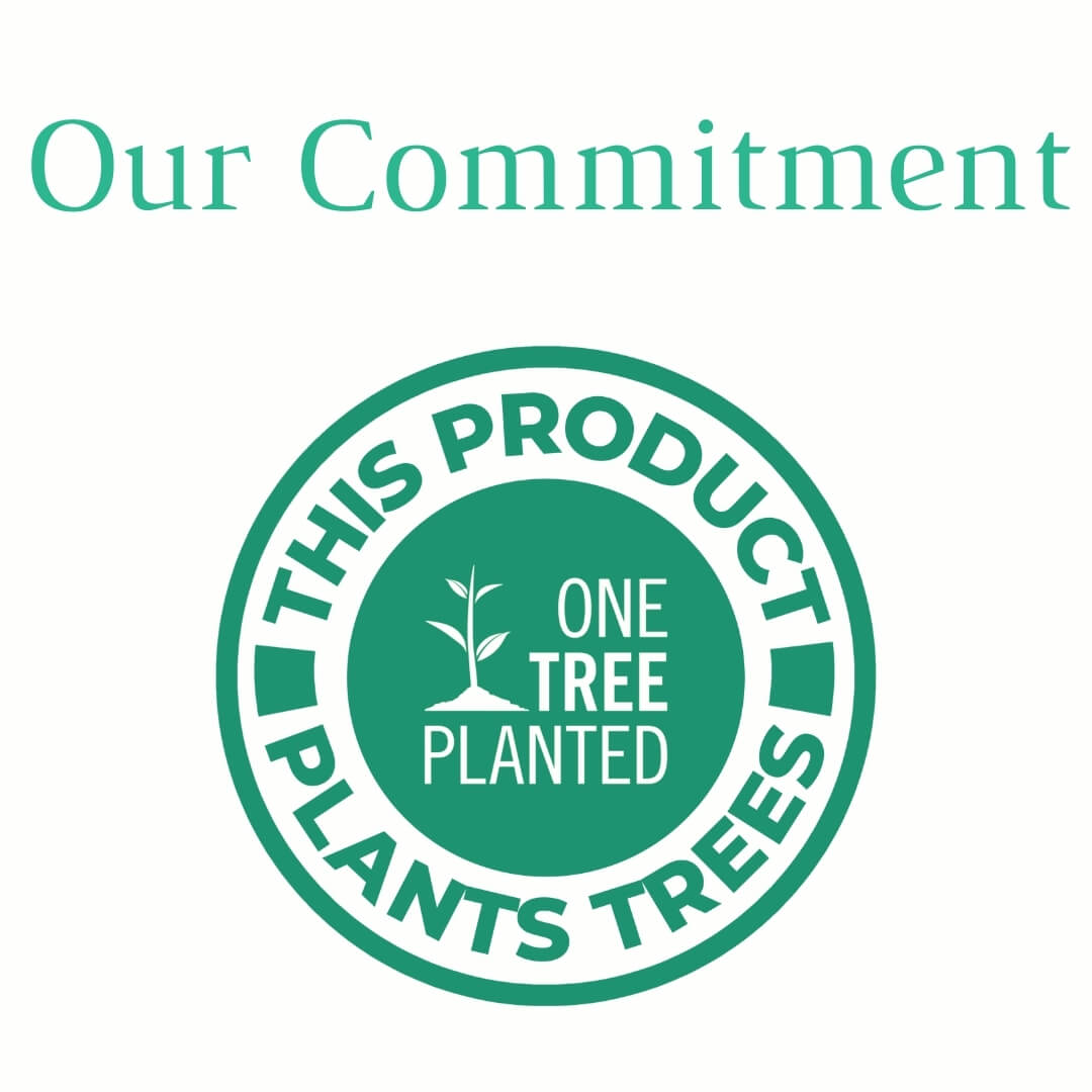 Intuition, Awareness | CHEVROM AMETHYST, QUARTZ, SELENITE