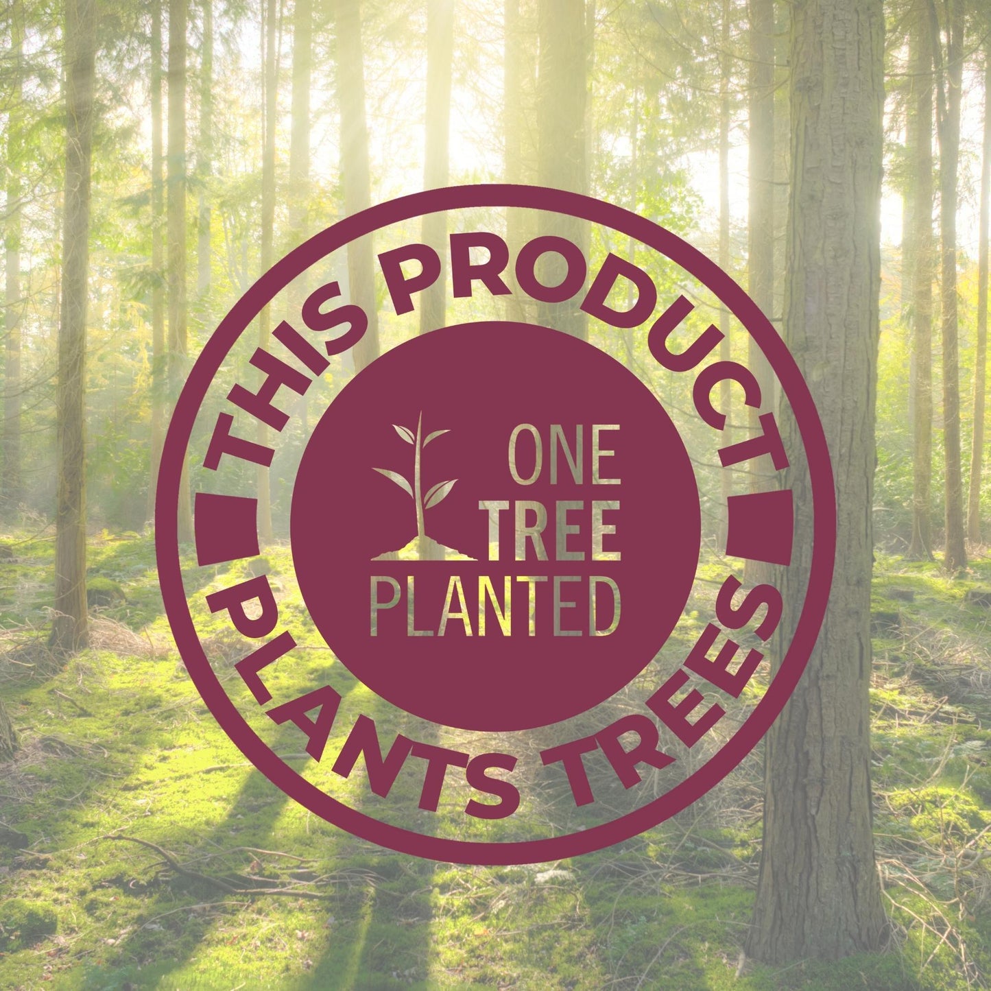 PYRITE | Wealth, Action, Movement