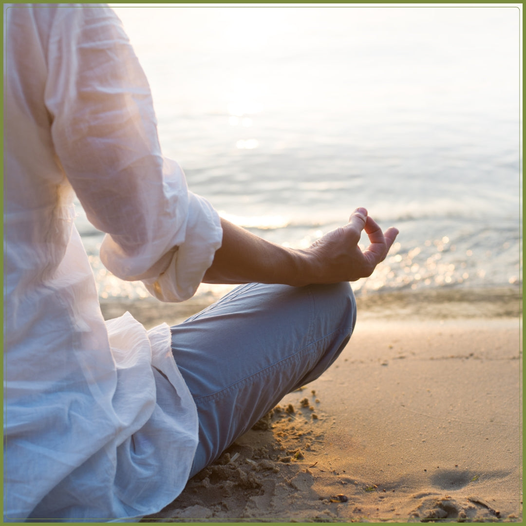 Wellness Services
